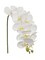 2-Pack: Real Touch White Phalaenopsis Orchid Stem, 31-Inch, 10 Realistic Silk Flowers & 2 Buds, Fake Orchids, Vase Fillers, Floral Home by Artificial Flowers